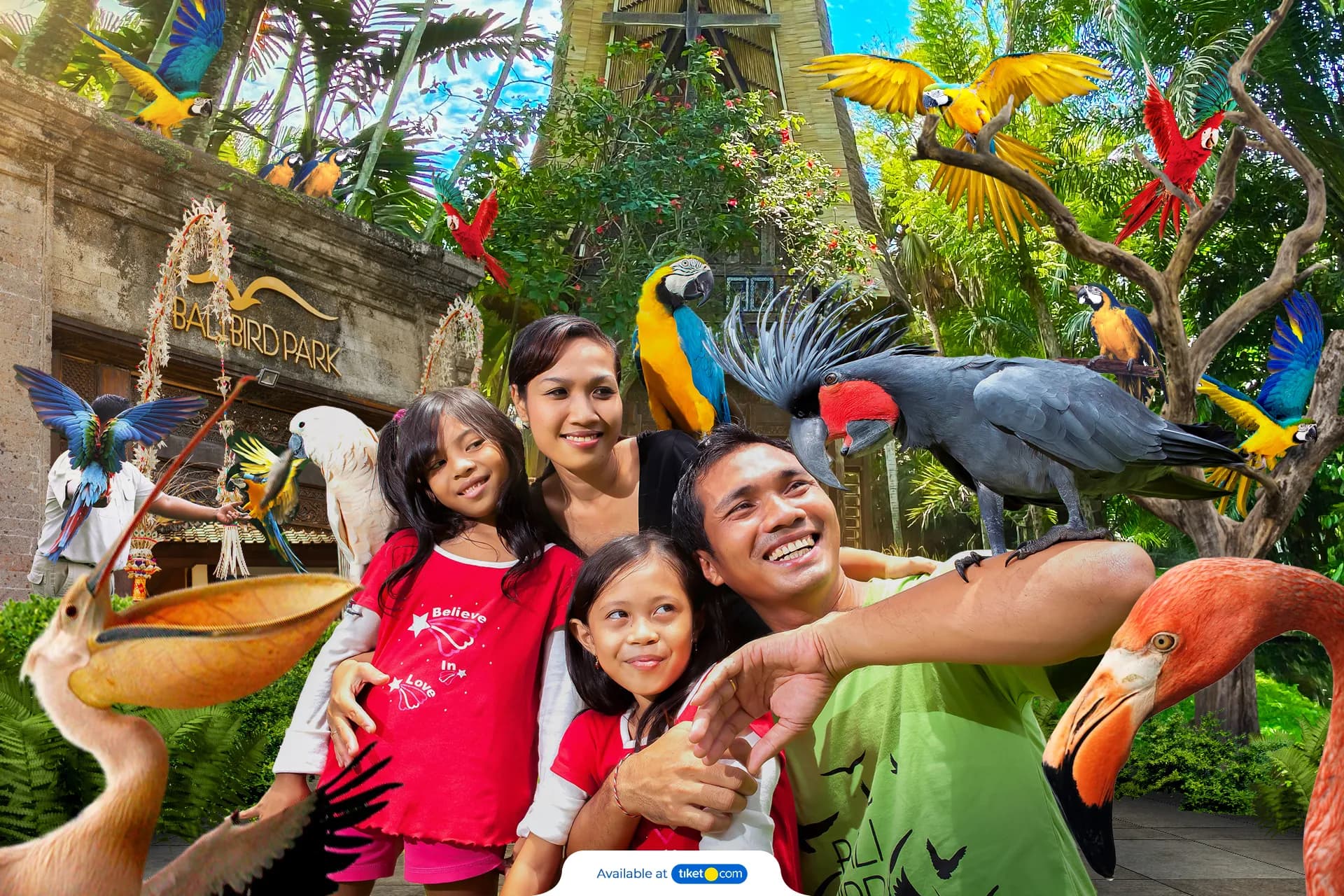 Quad Bike + Bali Bird Park