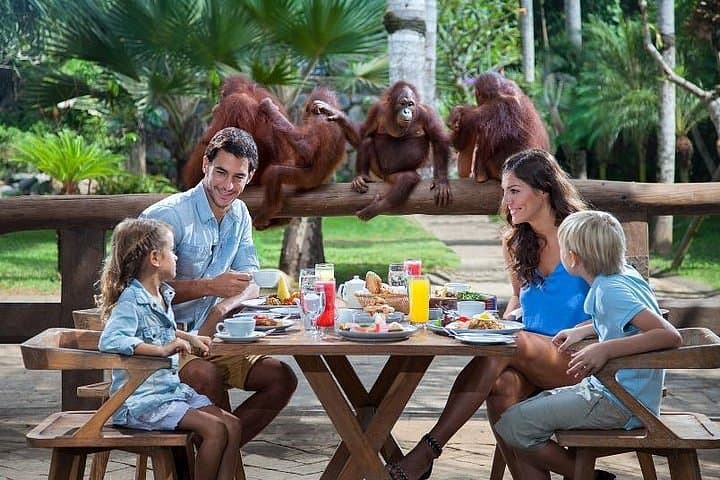 Quad Bike + Breakfast with Orangutan + Visit Zoo
